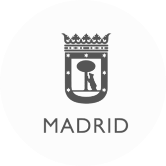 Madrid City Council